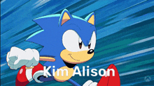 Sonic Alison GIF - Sonic Alison Kim Alison GIFs