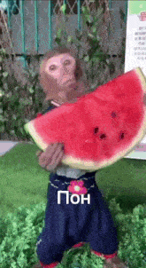 a monkey is holding a slice of watermelon with the letters tpoh written on it