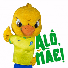 alo mae canarinho mascote cbf confedera%C3%A7%C3%A3o brasileira de futebol