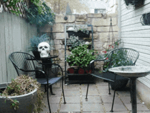 a skull sits on top of a table in a backyard