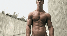 Male Bodybuilder Muscular GIF - Male Bodybuilder Muscular Guy Flexing Chest GIFs