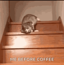 Lazy Cat GIF - Lazy Cat Stairs GIFs