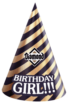birthday diamond pet foods birthday hat birthday girl dog birthday