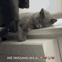 Kitten Cute GIF - Kitten Cute Sad GIFs