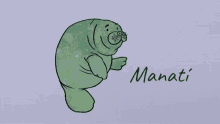 Manati Animal Marino GIF - Manati Animal Marino Hola GIFs