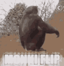 Monkeydghoul GIF - Monkeydghoul GIFs
