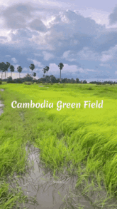 a green field with the words cambodia green field on the top