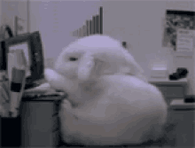 Sleepy Bunny GIF - Bunny GIFs