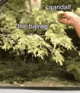 Lotr Gandalf GIF - Lotr Gandalf Balrog GIFs
