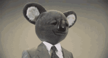 Surprised Koala GIF - Koala Surprised Startled GIFs