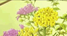 Flower Floral GIF - Flower Floral Flowers GIFs