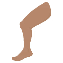 joypixels leg