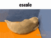 Escale Escape GIF - Escale Escape Baby Seal GIFs