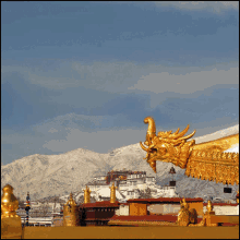 Local Tibetan Tour And Travel Tibet Travel GIF