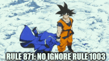 Rules Goku GIF