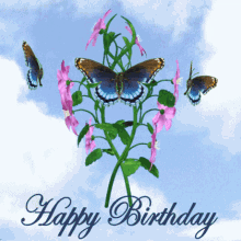happy birthday happy birthday flowers clematis flowers and butterflies happy birthday butterflies