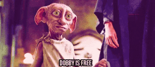 Dooby Is Free GIF - Dooby Is Free GIFs