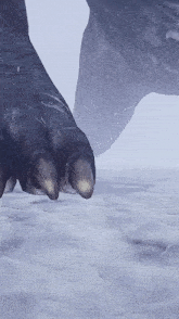 a close up of a monster 's claws on the snow