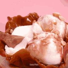 a bowl of ice cream with a wooden spoon in it and the words easy plus below it