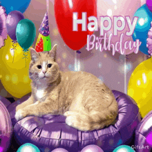 Birthday Cat Birthday Greetings GIF - Birthday Cat Birthday Greetings Happy Birthday GIFs