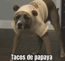 Tacos De Paya Tacos GIF - Tacos De Paya Tacos De GIFs