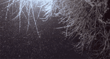Snowing Winter GIF - Snowing Winter Trees GIFs