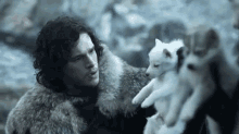 Puppy Direwolf - Game Of Thrones GIF - Game Of Thrones Direwolf Kit Harington GIFs