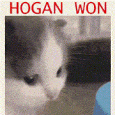 Hogan961 Hoganstan GIF - Hogan961 Hogan Hoganstan GIFs