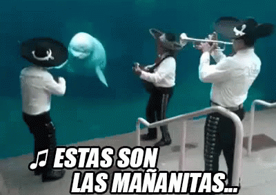 estas son las mañanitas gif mariachi las mananitas trumpets