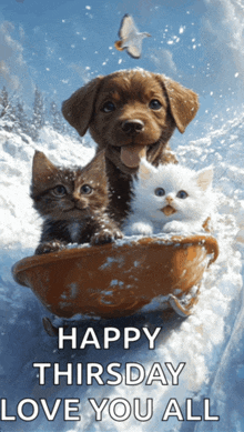 a dog and two kittens are sledding down a snowy hill with the words happy thursday love you all below them