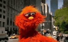 Murray Ovejita GIF - Murray Ovejita Sesame Street GIFs