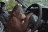 an orangutan is sitting in a car with a woman wearing a mask