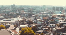 Holland Uit In Enschede GIF - Holland Uit In Enschede Skyline GIFs