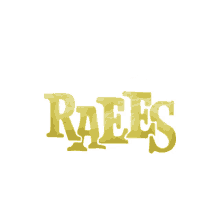 Raees Shah Rukh Khan GIF - Raees Shah Rukh Khan Red Chillies Entertainment GIFs