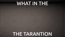 What What In Tarnation GIF - What What In Tarnation Tarnation GIFs