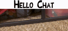 a sign that says hello chat is above a carpet