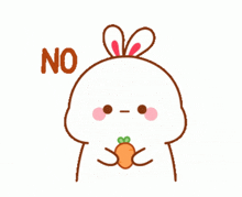 a cartoon rabbit holding a carrot with the word no written above it