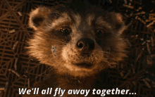 Rocket Raccoon We Will All Fly Away Together GIF - Rocket Raccoon We Will All Fly Away Together Gotg Vol3 GIFs
