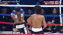パンチ　ノックアウト 井上尚弥 Naoya Inoue ボクシング　ボクサー GIF - Naoya Inoue Boxer Boxing GIFs