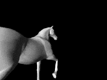 a black and white photo of a horse 's head on a black background