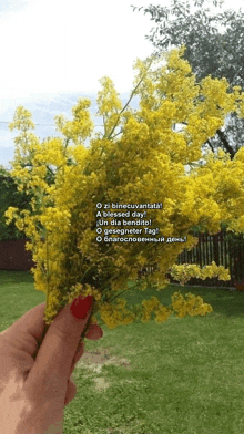 a person holding a bunch of yellow flowers in their hand with a foreign language written on it