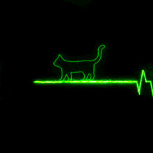 a green heartbeat line with a cat in the middle