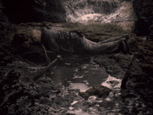 a man is laying in a puddle of water near a waterfall with a watermark that starts with the letter o