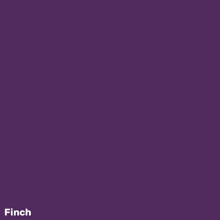 the word vacation is on a purple background with animals