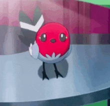 a small red bird with black and white feathers is standing on a table .