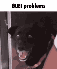 Guei Problems GIF - Guei Problems Problemas GIFs