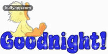 Good Night - Duck.Gif GIF - Good Night - Duck Good Night Wishes Good Night Greetings GIFs