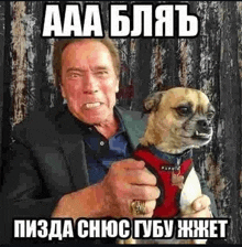 arnold schwarzenegger is holding a small dog in his arms and making a funny face .