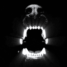 a black and white photo of a dog 's mouth open