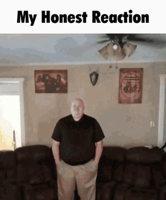 My Honest Reaction Dog GIF - My honest reaction Dog Timerfy